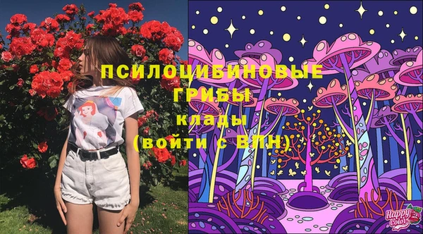 прущая мука Инсар
