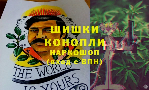 ешки Иннополис