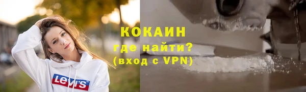 ешки Иннополис