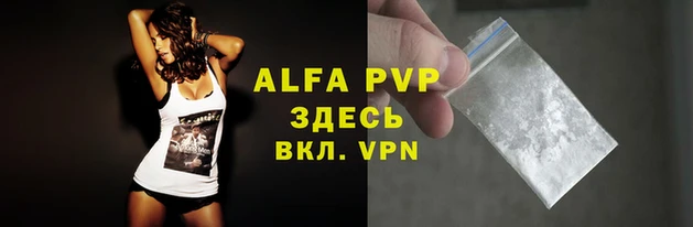 ешки Иннополис