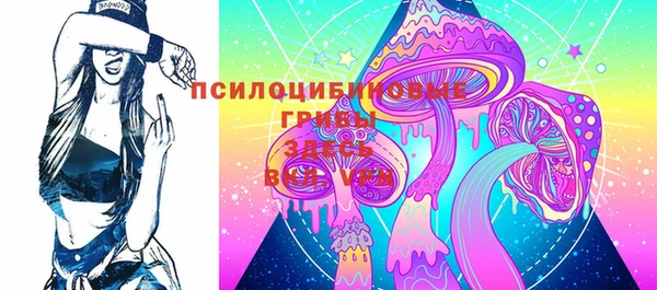 ешки Иннополис
