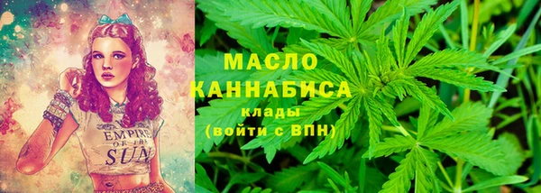 mdpv Инта