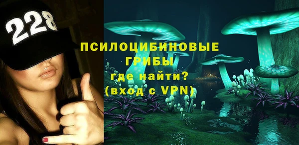 mdpv Инта