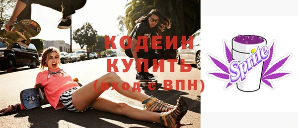 ешки Иннополис