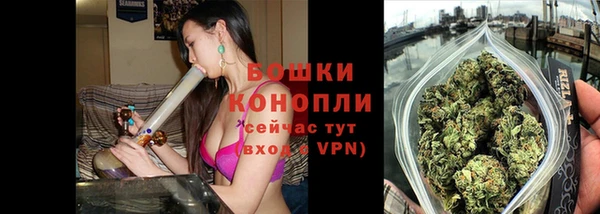 ешки Иннополис